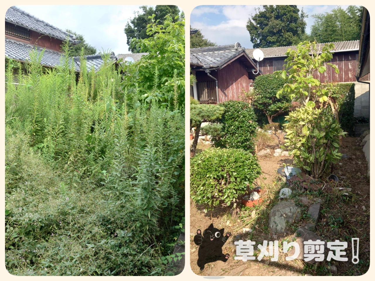 大牟田市の庭作業事例