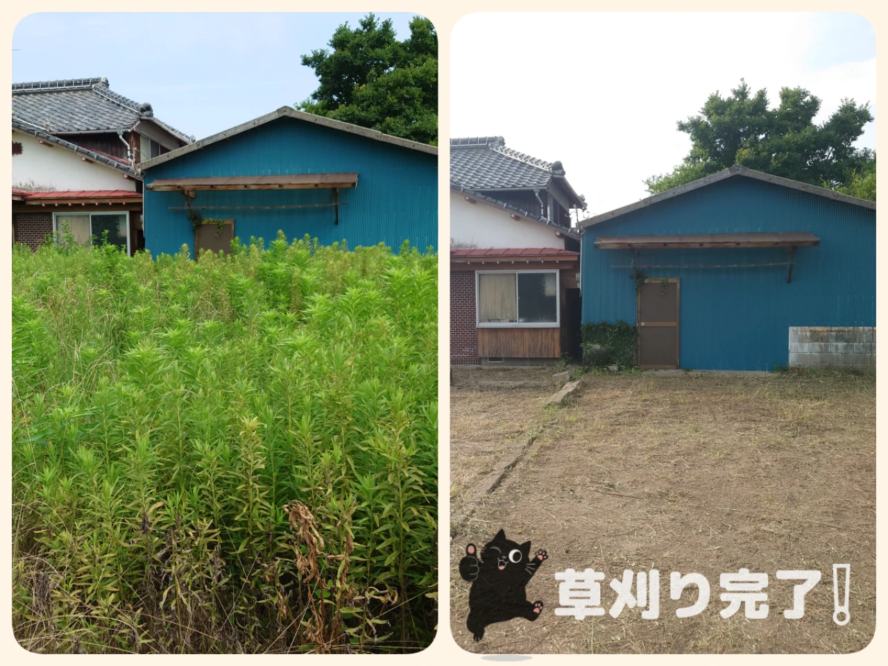 倉庫周りの草刈り