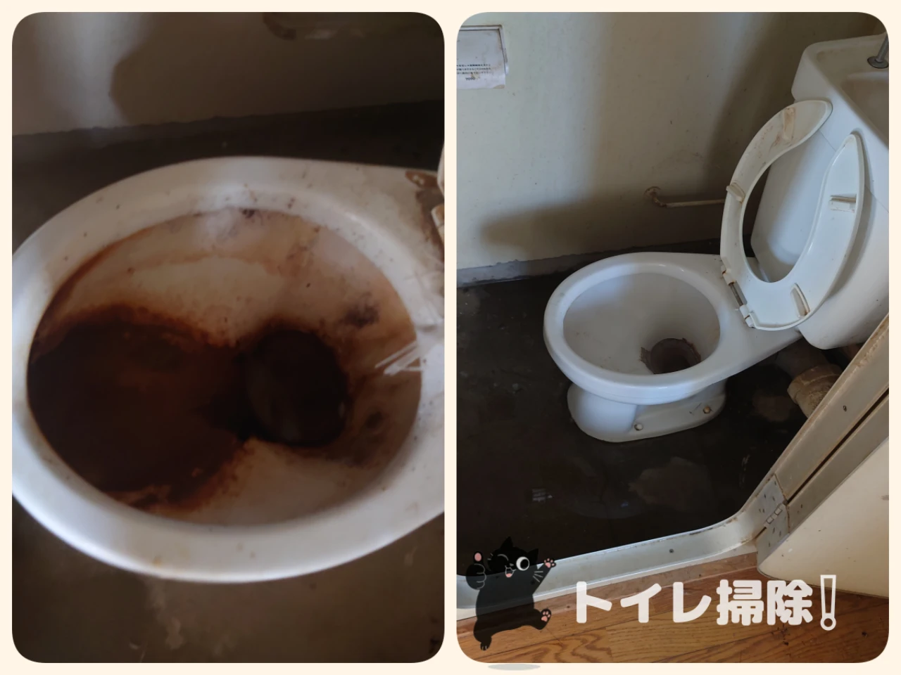 トイレ清掃事例