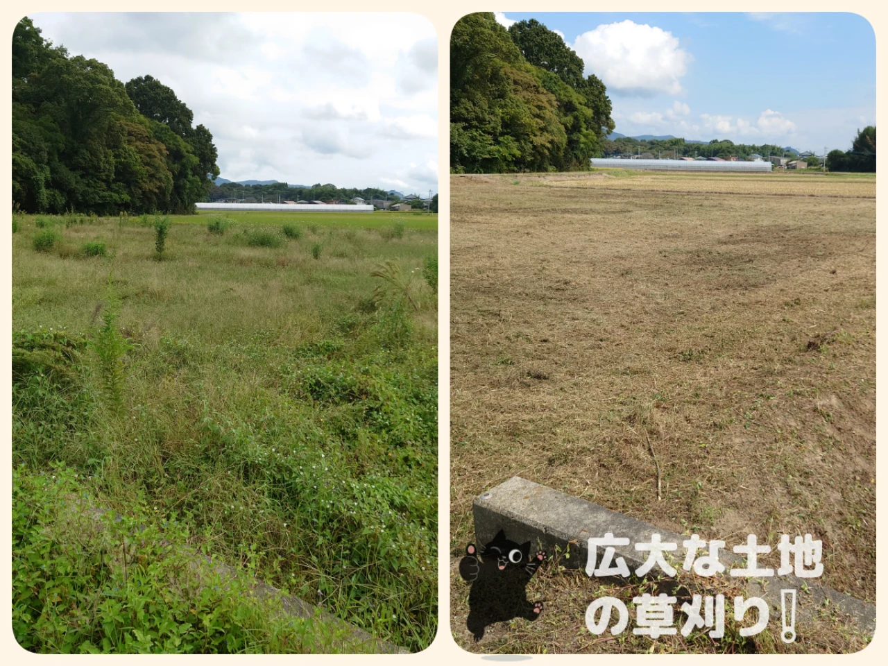 広大な土地の草刈り